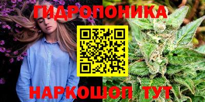 таблы Будённовск
