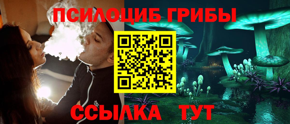 Псилоцибиновые грибы MAGIC MUSHROOMS Курчалой